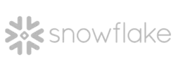 Snowflake Logo